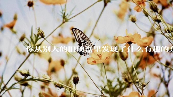 你从别人的旧硬盘里发现了什么有趣的东西？