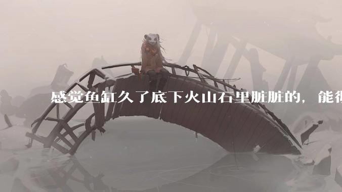 感觉鱼缸久了底下火山石里脏脏的，能彻底换水清理一遍不？